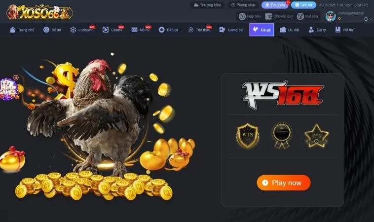Sảnh Đá Gà Xoso66 uy tín, chất lượng để cá cược